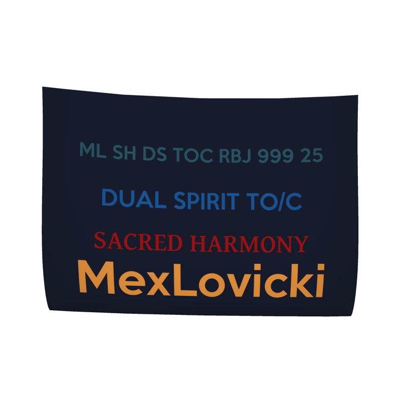 🌸 Sacred Harmony: The Origin in Motion Reversible Silk Bomber Jacket